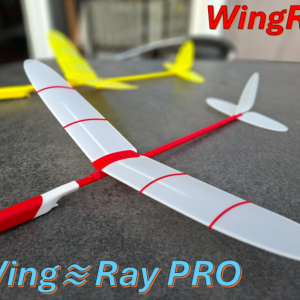 Aliante a volo libero "WingRay"